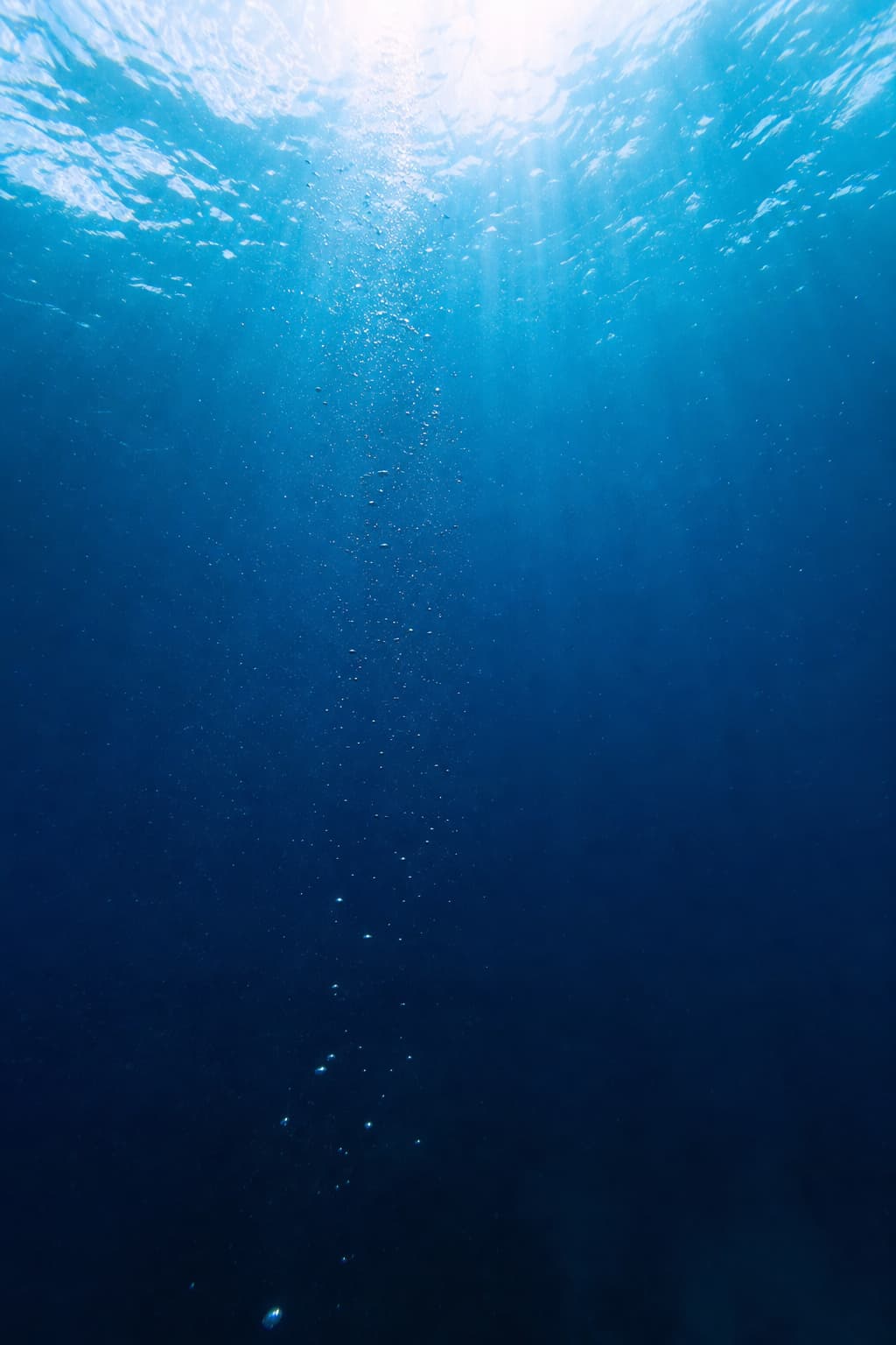 Des rayons de lumière pénètrent l